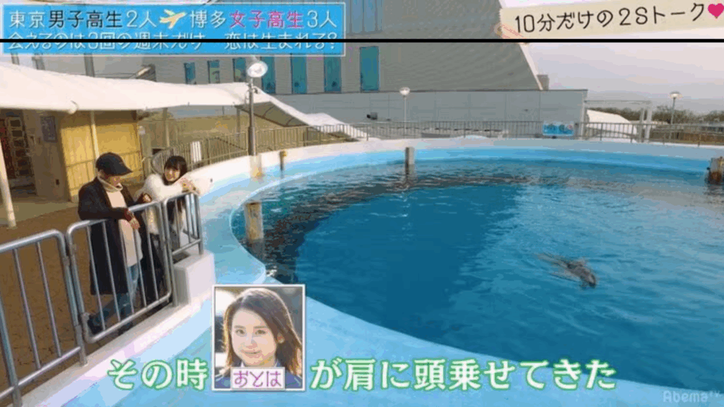 どのシーズンに出演?当時の画像は?