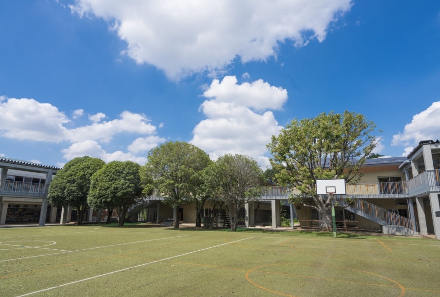 出身小学校はどこ？