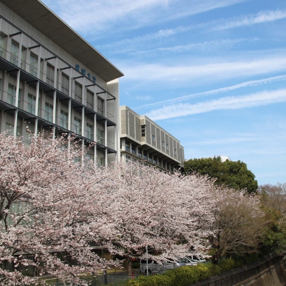 出身大学はどこ？